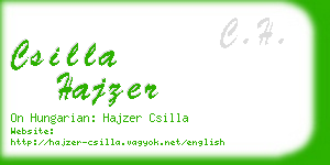 csilla hajzer business card